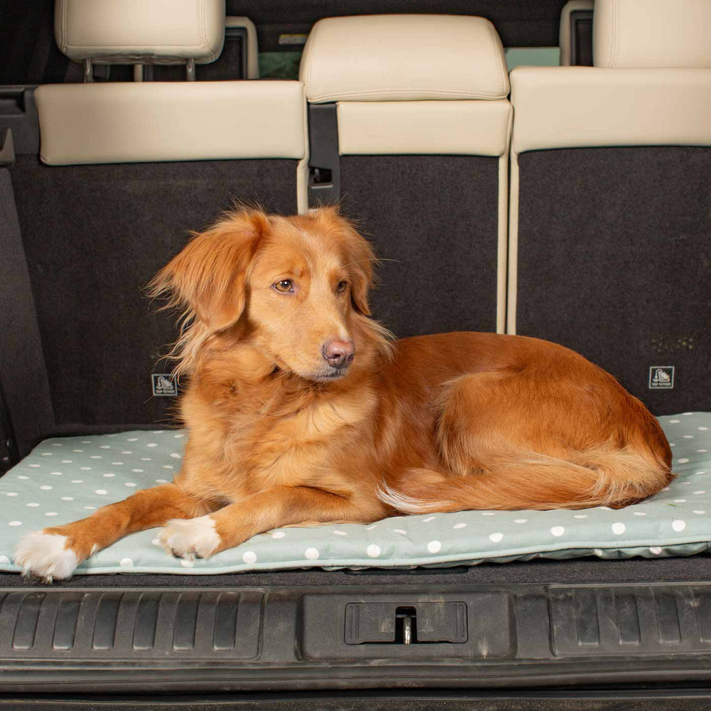 Travel Mat in Duck Egg Spot