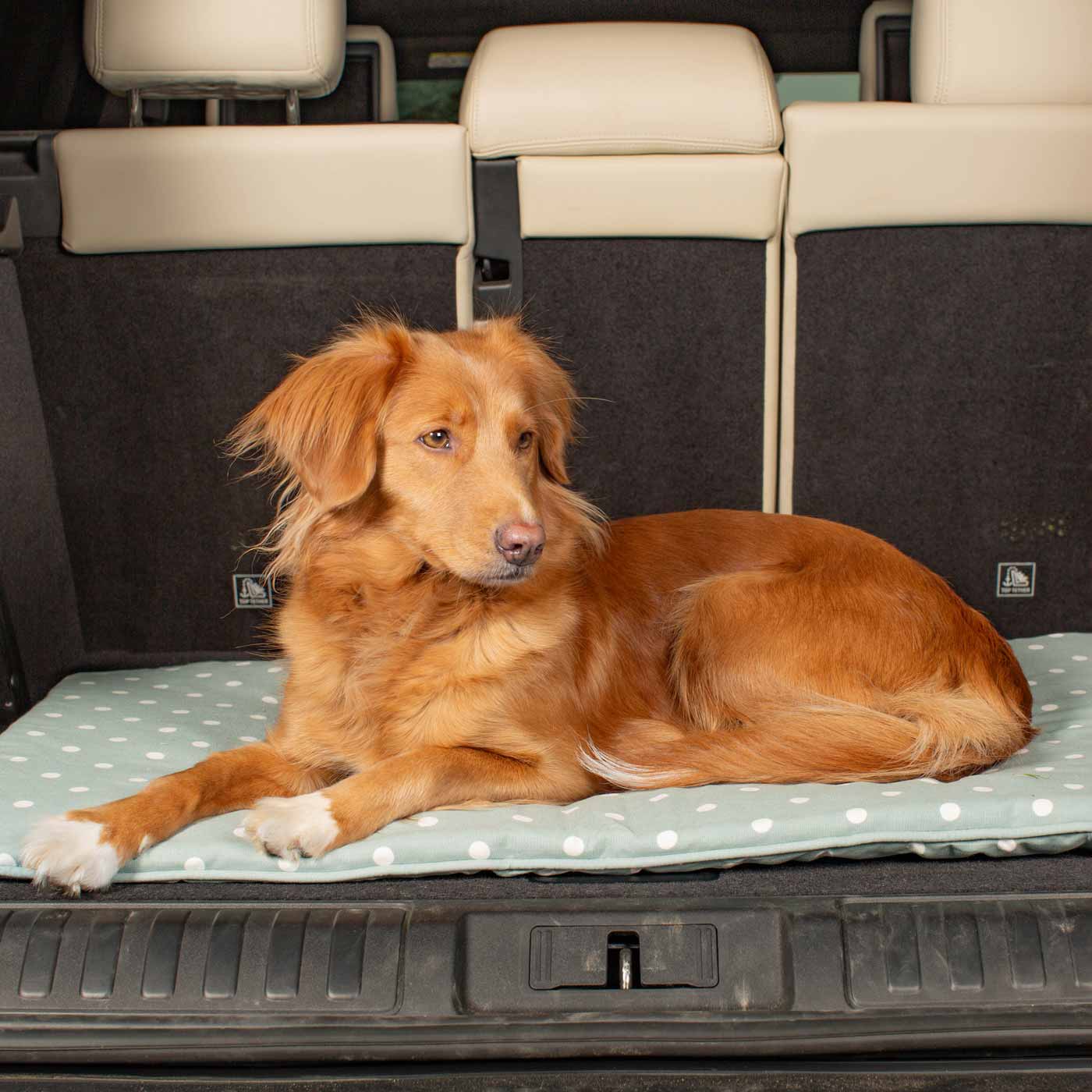 Travel Mat in Duck Egg Spot