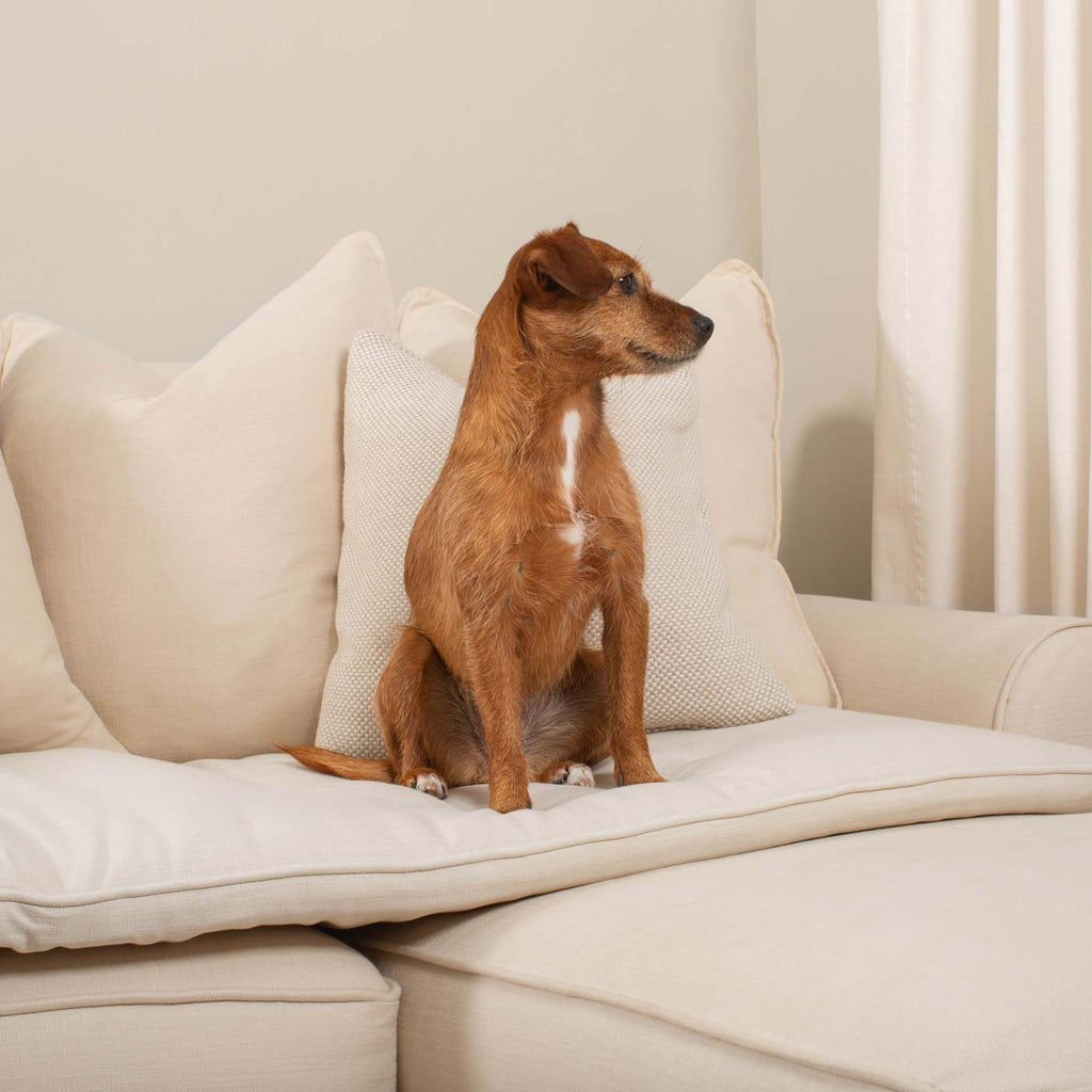 Couch Topper in Savanna