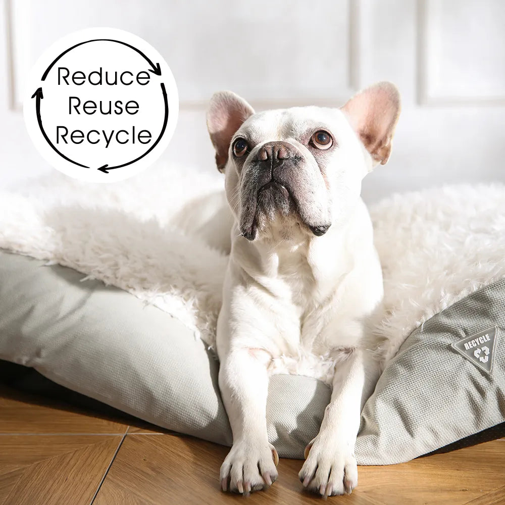 Recycle Pet Bed Custom Pet Bed With Pillow