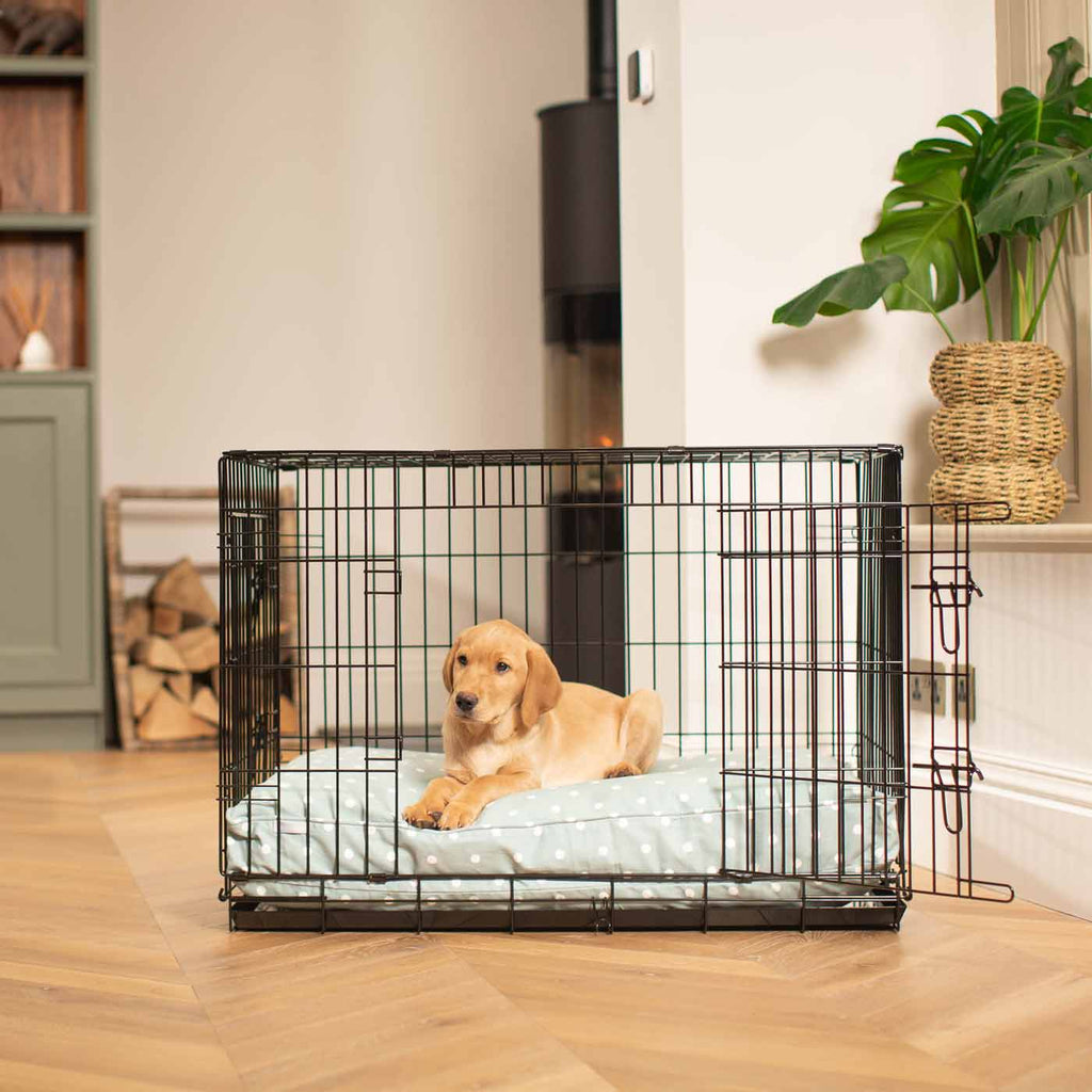 Dog Cushion in Duck Egg Spot