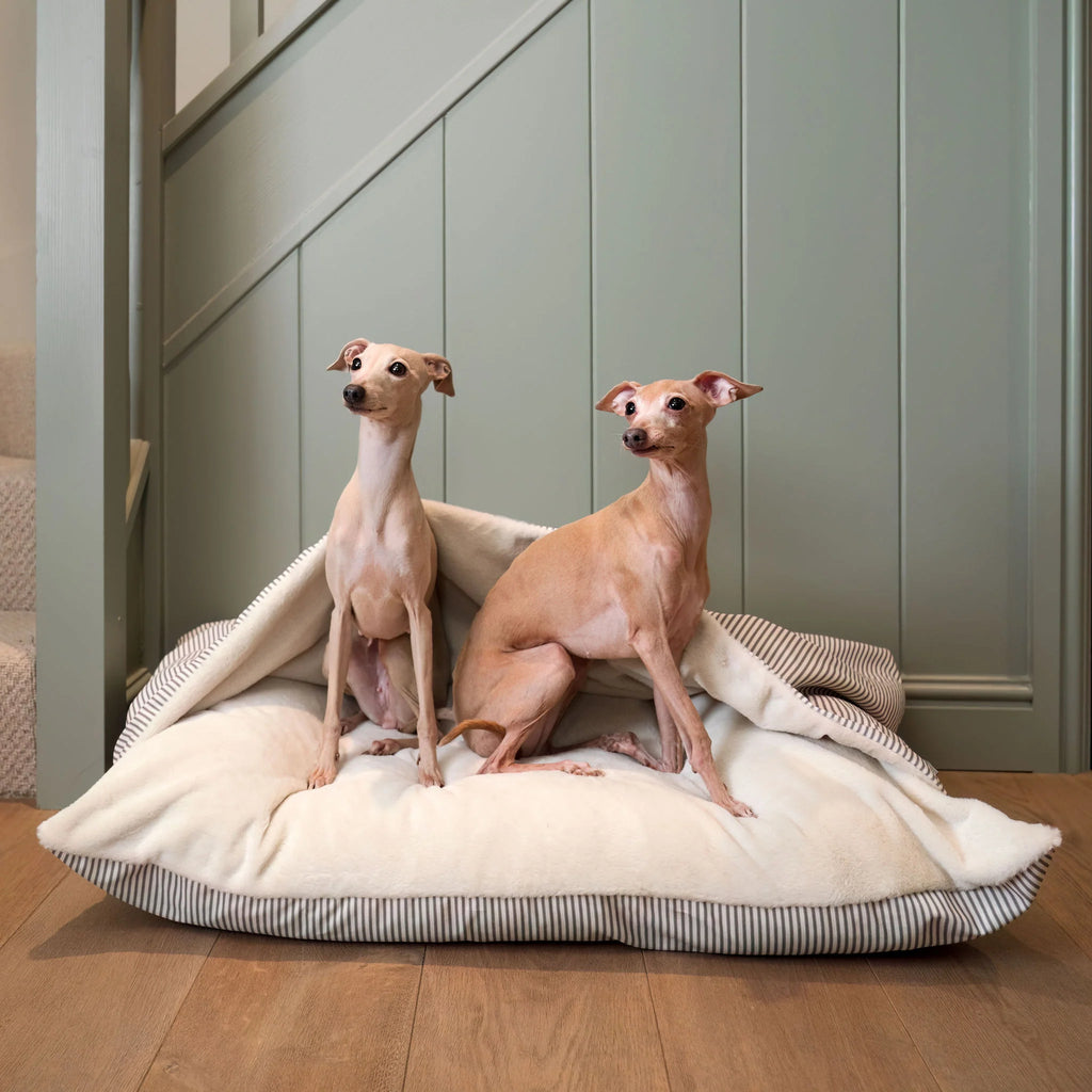 Bed in Regency Stripe