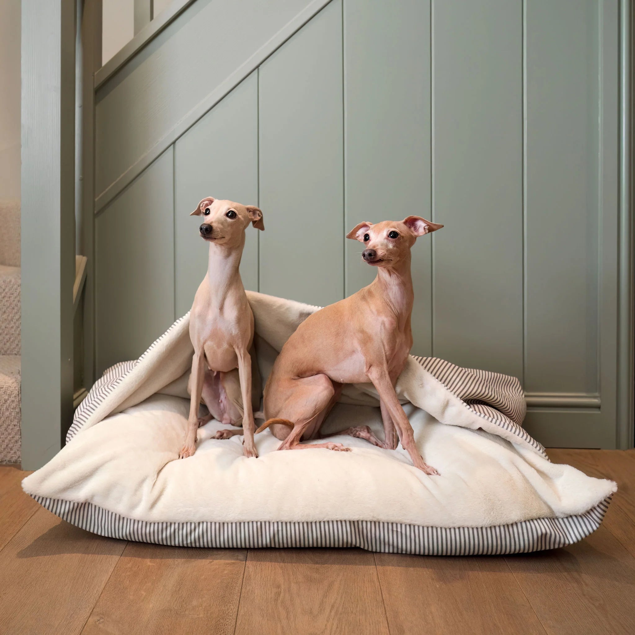 Bed in Regency Stripe