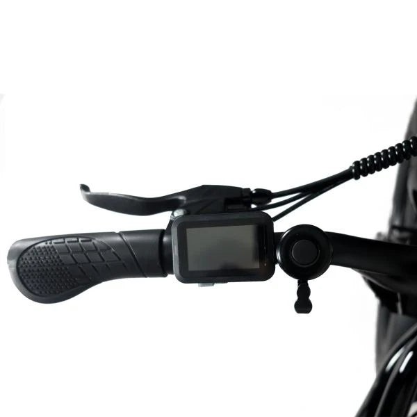 1000W Electric Mountain Bike for Adults with 20 x 4.0 Fat Tires, 48V 20Ah Removable Battery and 7-Speed