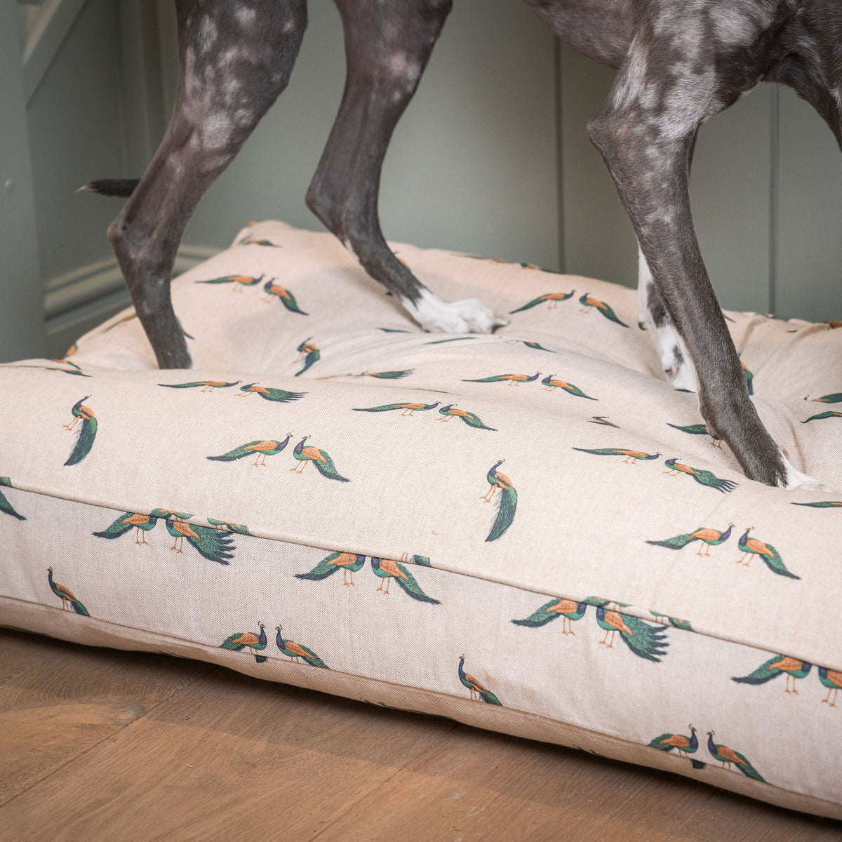 Dog Cushion in Woodland Peacock