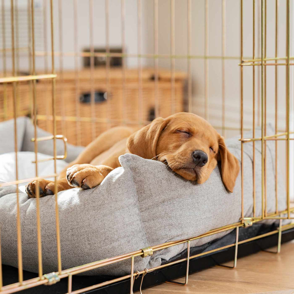 Cozy & Calming Puppy Cage Bed In Inchmurrin Ground