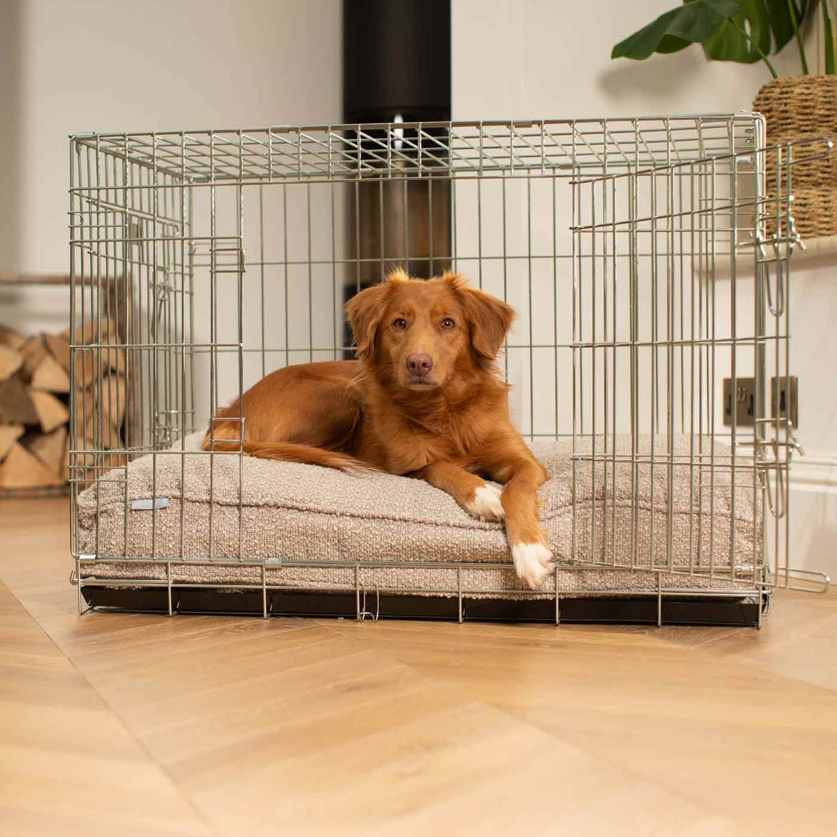 Dog Cushion in Mink Bouclé