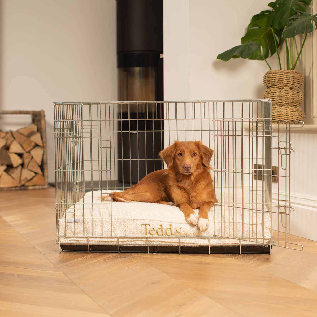 Dog Cushion in Ivory Bouclé