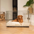 Dog Cushion in Ivory Bouclé