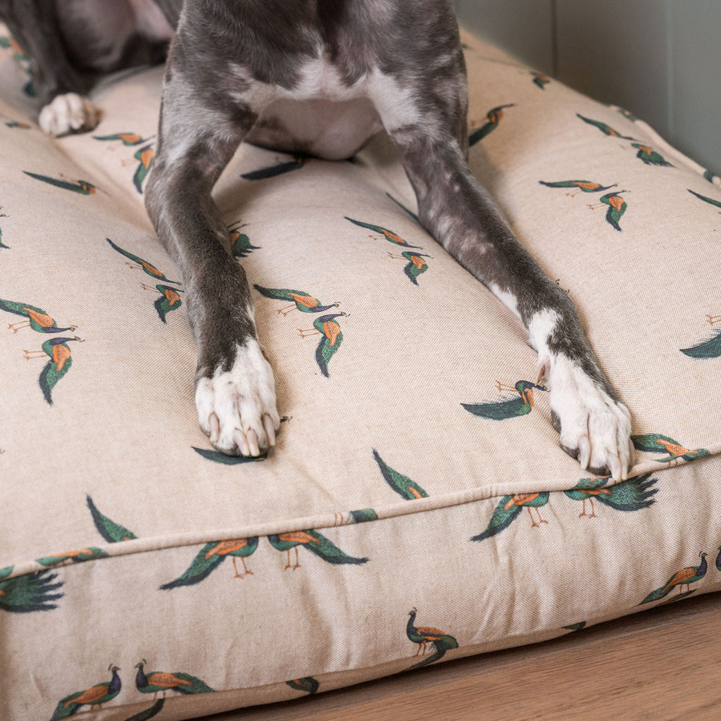 Dog Cushion in Woodland Peacock