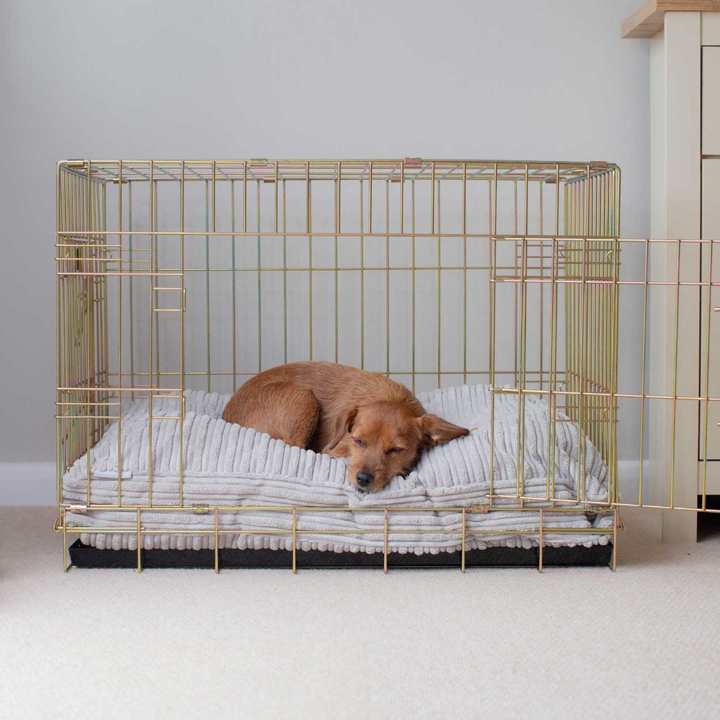 Dog Cushion in Light Grey Essentials