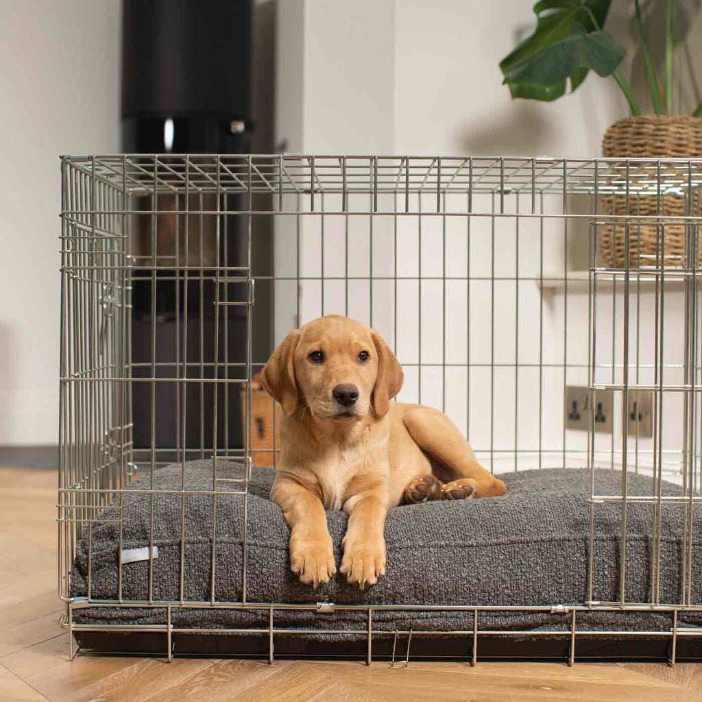 Dog Cushion in Granite Bouclé