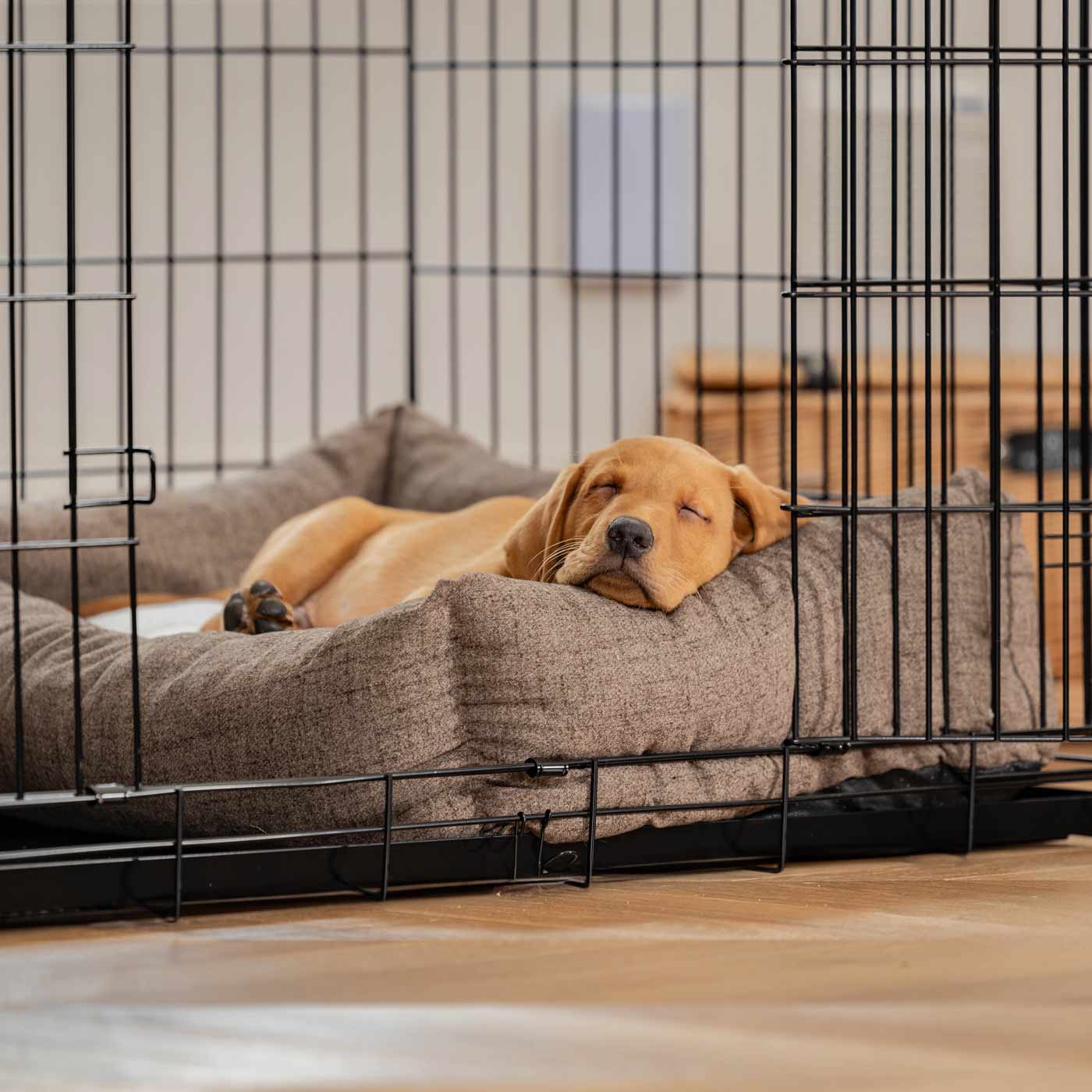 Cozy & Calming Puppy Cage Bed In Inchmurrin Umber