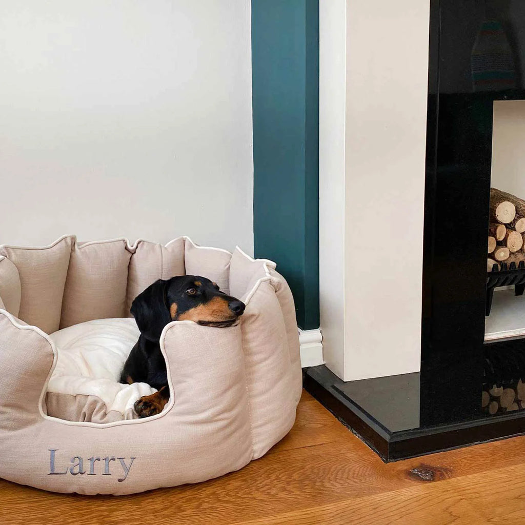 High Wall Bed For Dogs in Savanna