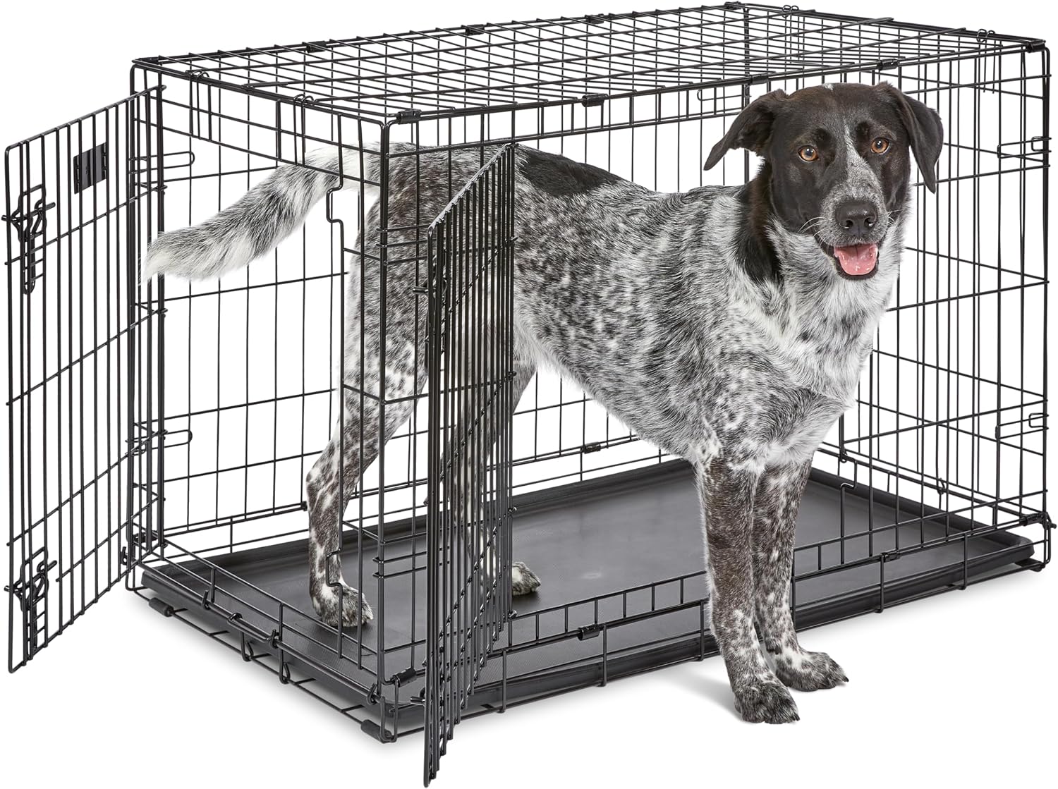Solutions by 54 Inch Single Door Crate, Giant Breed Dogs, 100+ lbs