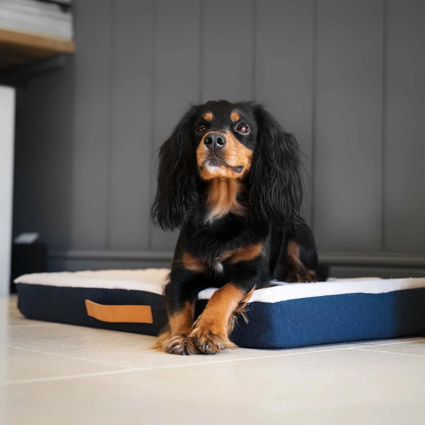 Orthopaedic Mattress in Denim Variant 2