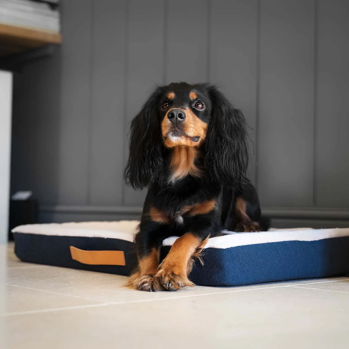 Orthopaedic Mattress in Denim