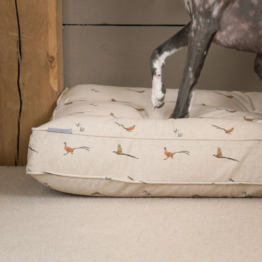 Dog Cushion in Woodland Pheasant