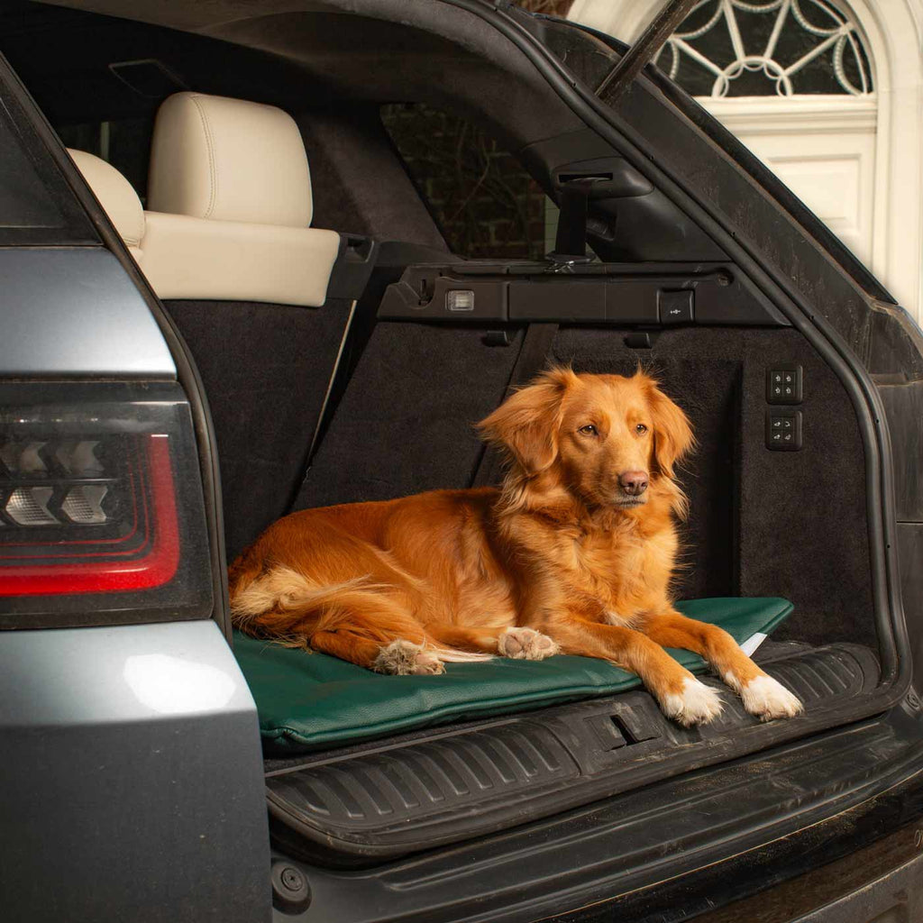 Travel Mat in Forest Rhino Faux Leather
