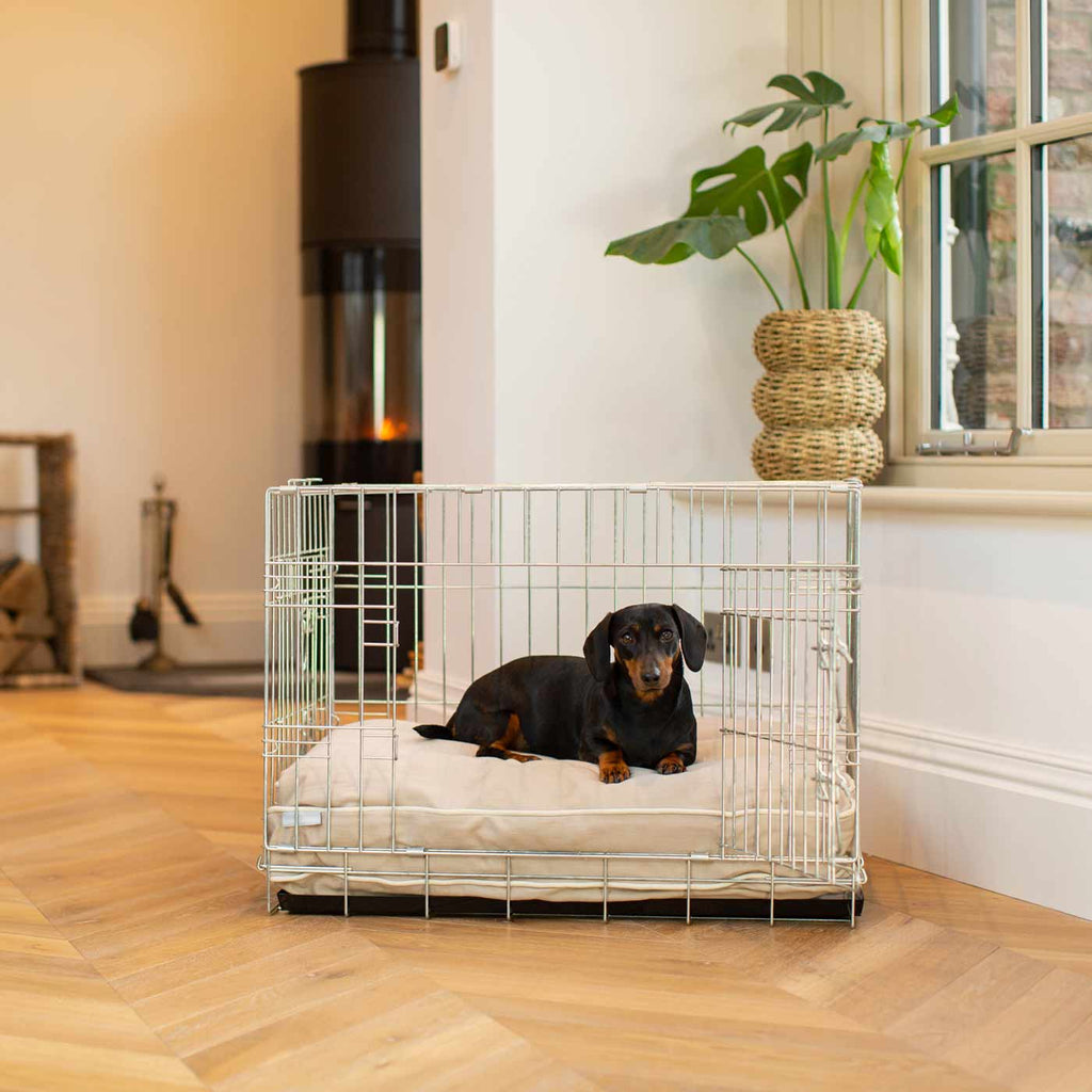 Dog Cushion in Savanna Oatmeal