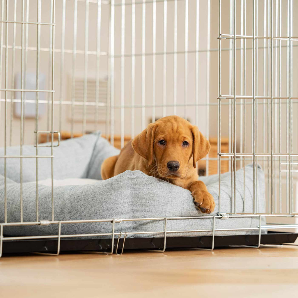 Cozy & Calming Puppy Cage Bed In Inchmurrin Iceberg