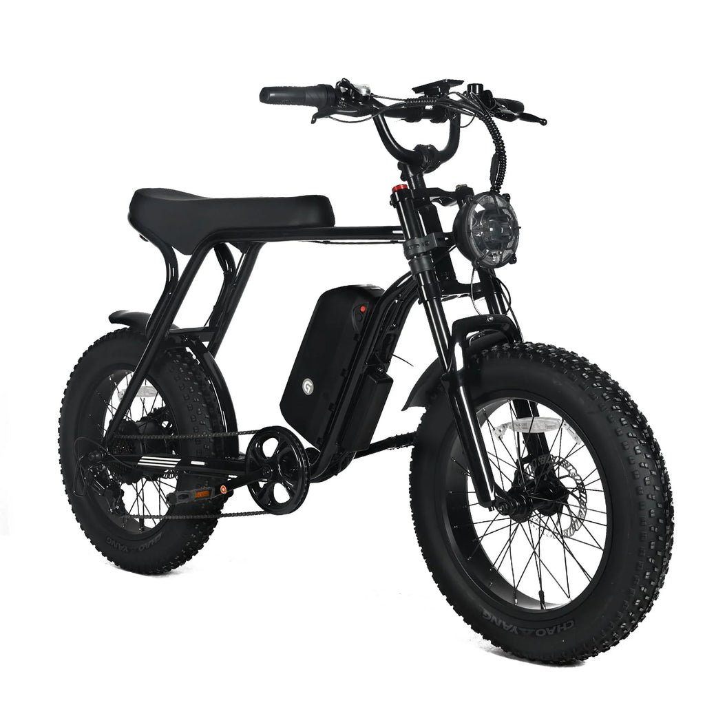 1000W Electric Mountain Bike for Adults with 20 x 4.0 Fat Tires, 48V 20Ah Removable Battery and 7-Speed