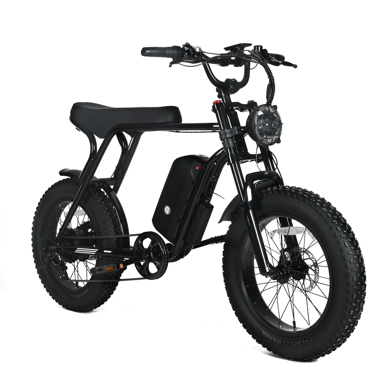 1000W Electric Mountain Bike for Adults with 20 x 4.0 Fat Tires, 48V 20Ah Removable Battery and 7-Speed