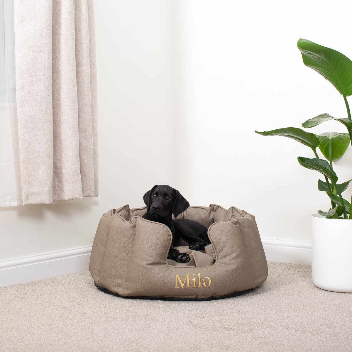 High Wall Bed in Rhino Tough Desert Faux Leather