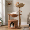 PAWZ Road 59" Modern Cat Tree, Natural Wood Cat Tower for Large Cats White