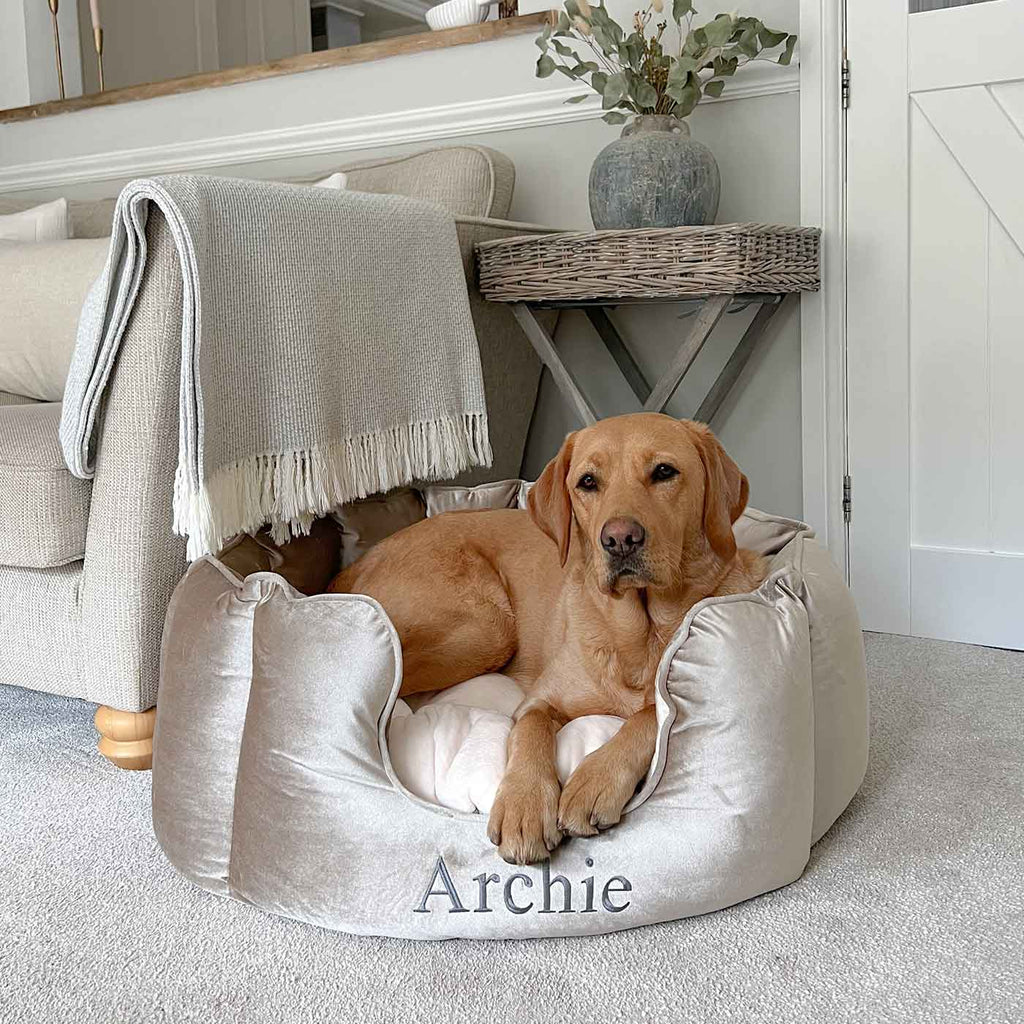 High Wall Bed For Dogs in Velvet