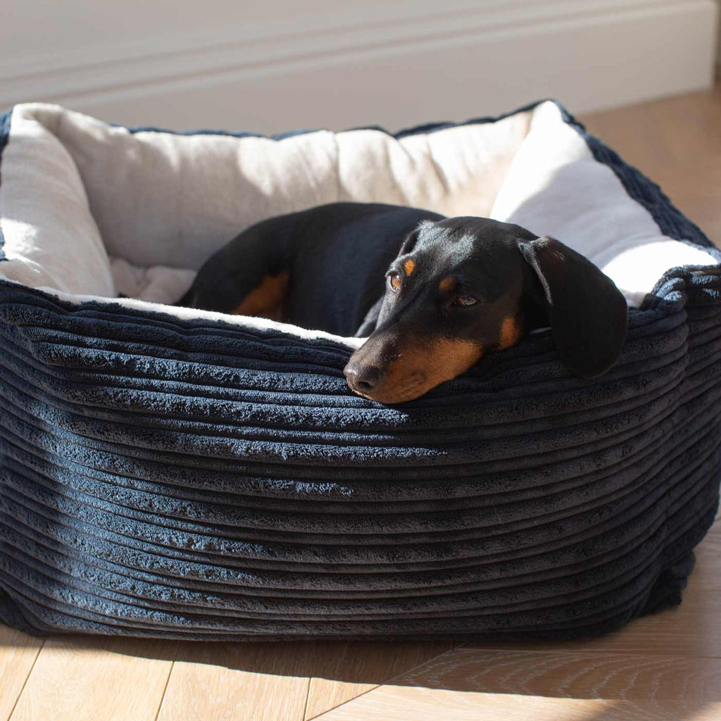 Box Bed For Dogs in Essentials Plush