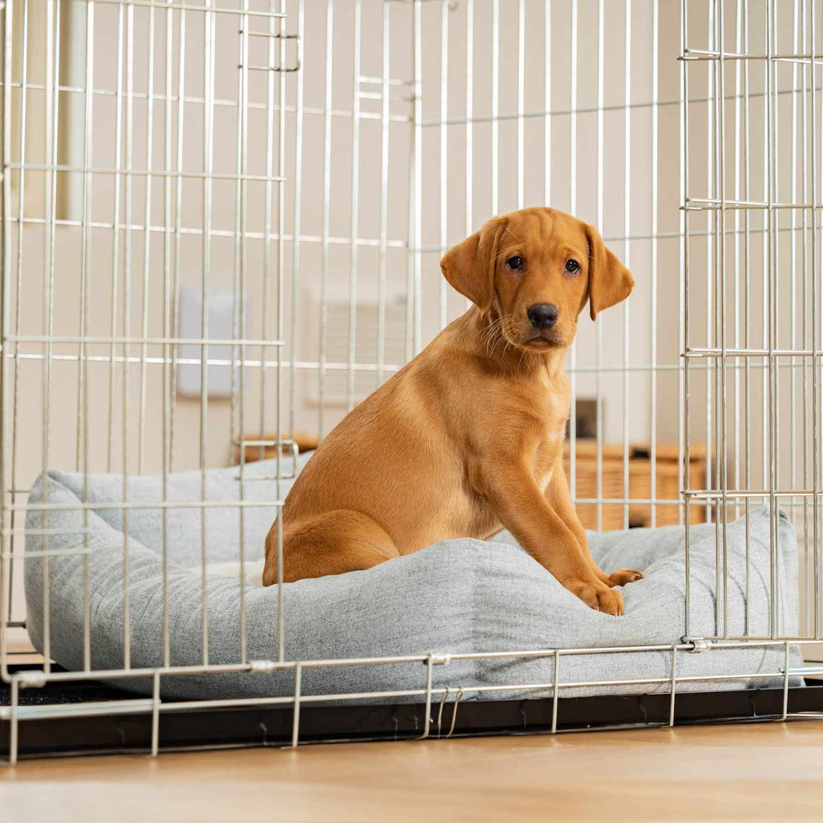 Cozy & Calming Puppy Cage Bed In Inchmurrin Iceberg