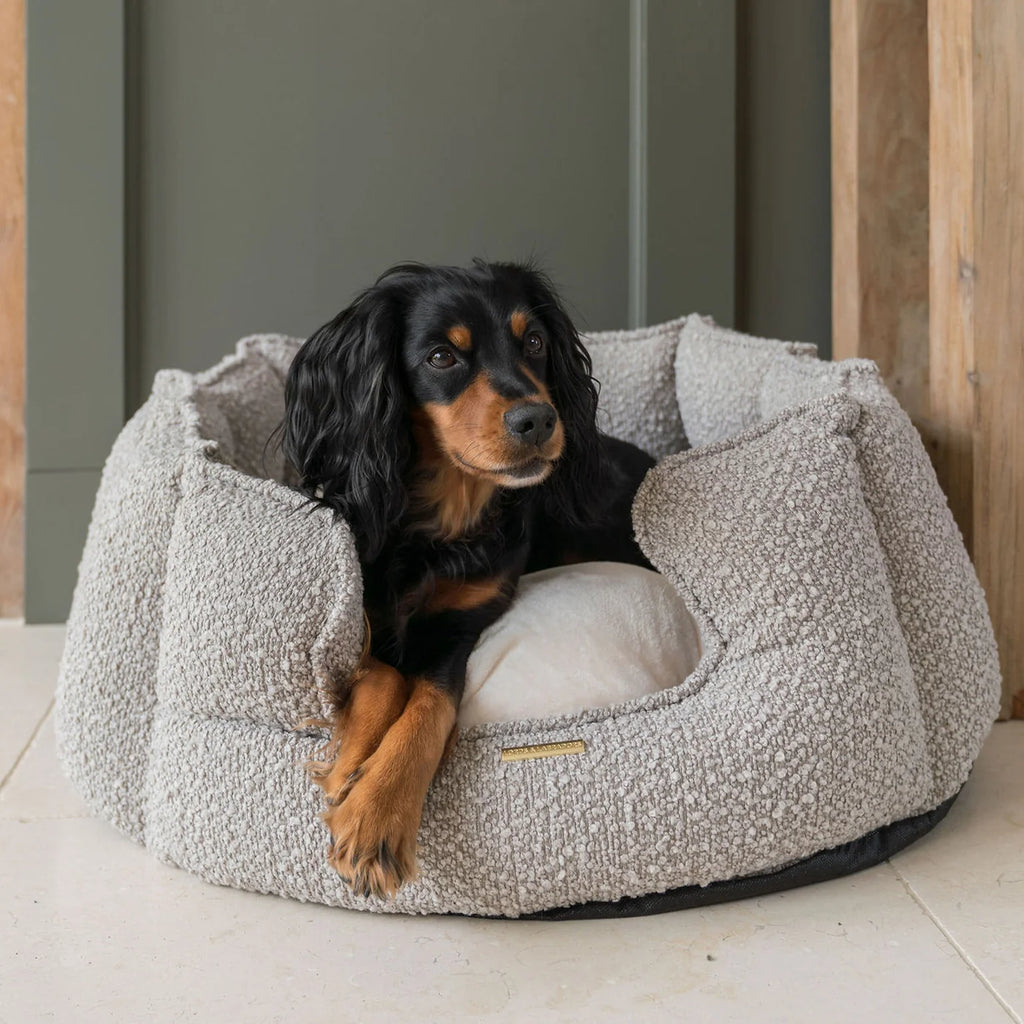 High Wall Bed For Dogs in Bouclé
