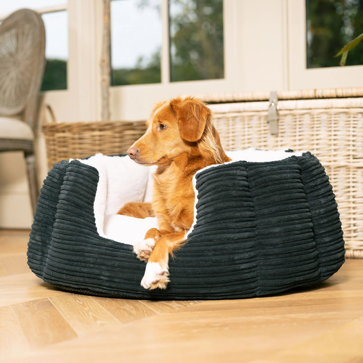 High Wall Bed For Dogs in Essentials Plush