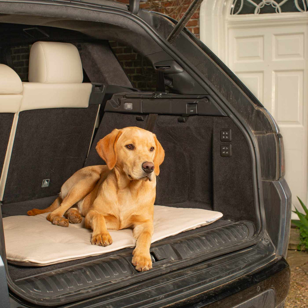 Travel Mat in Savanna Bone