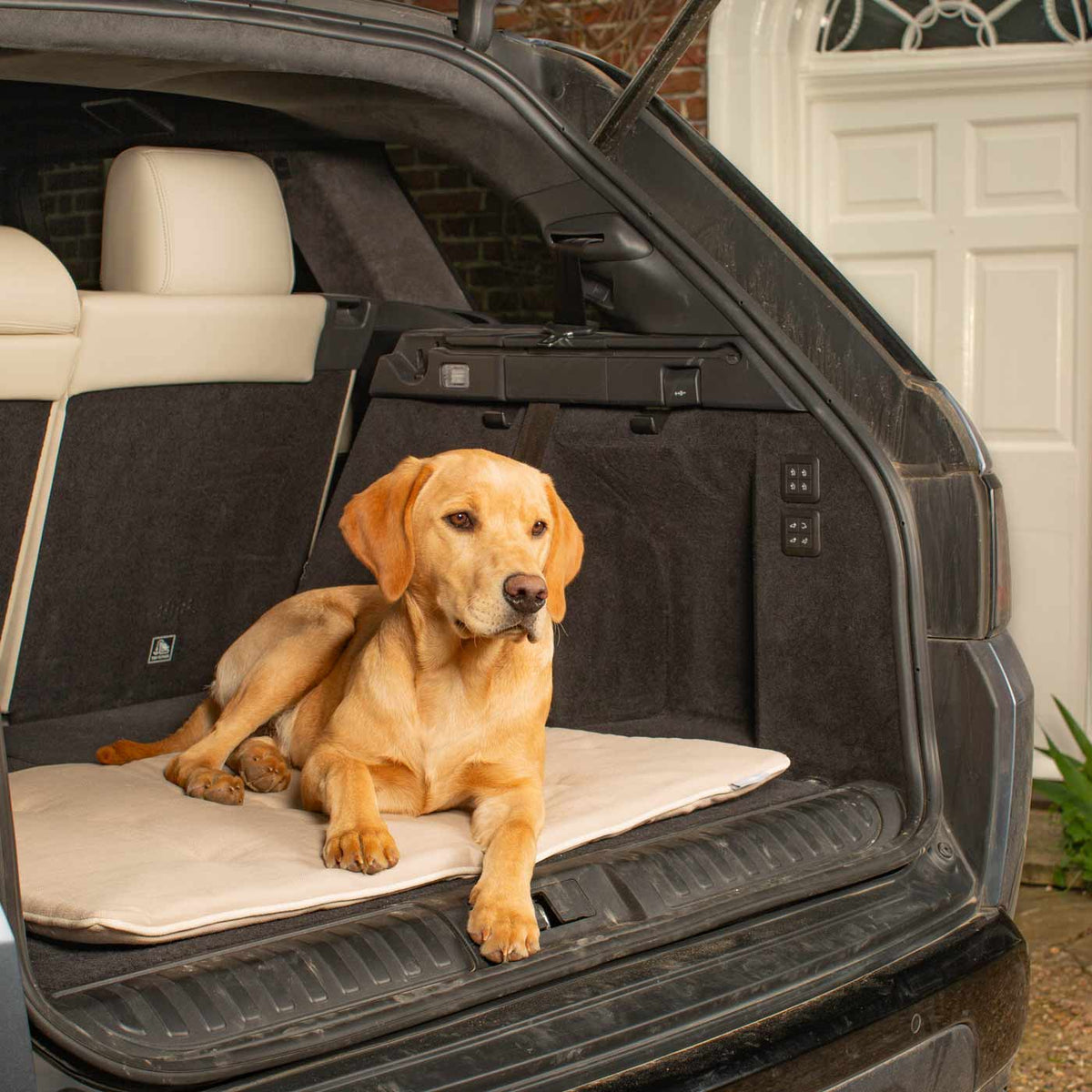 Travel Mat in Savanna Bone