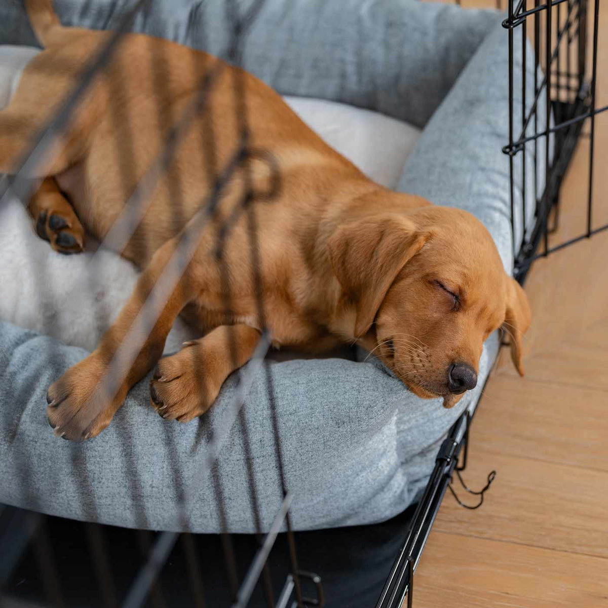 Cozy & Calming Puppy Cage Bed In Inchmurrin Iceberg