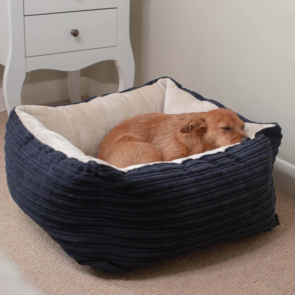 Box Bed For Dogs in Essentials Plush