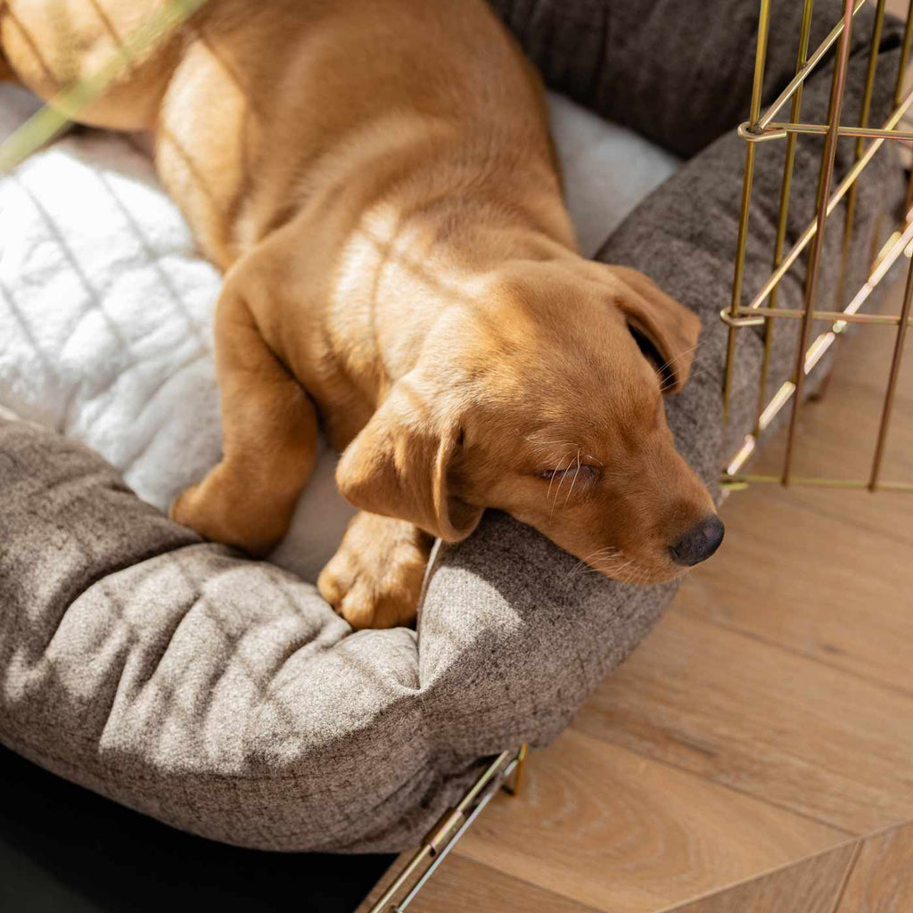 Cozy & Calming Puppy Cage Bed In Inchmurrin Umber Variant 2