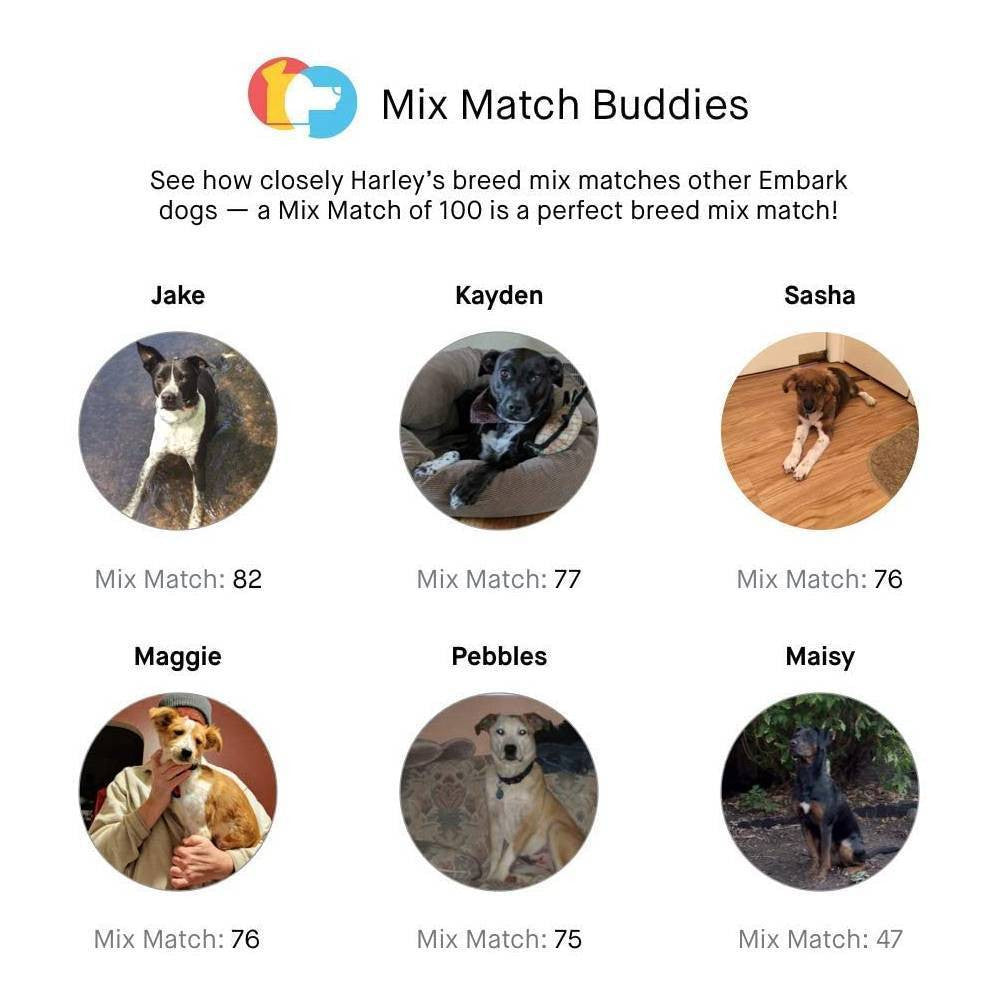 Dog DNA Test and Breed Identification Kit