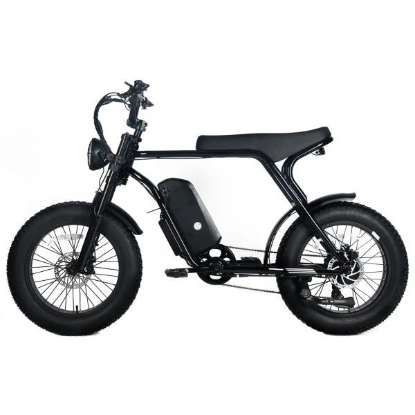 1000W Electric Mountain Bike for Adults with 20 x 4.0 Fat Tires, 48V 20Ah Removable Battery and 7-Speed