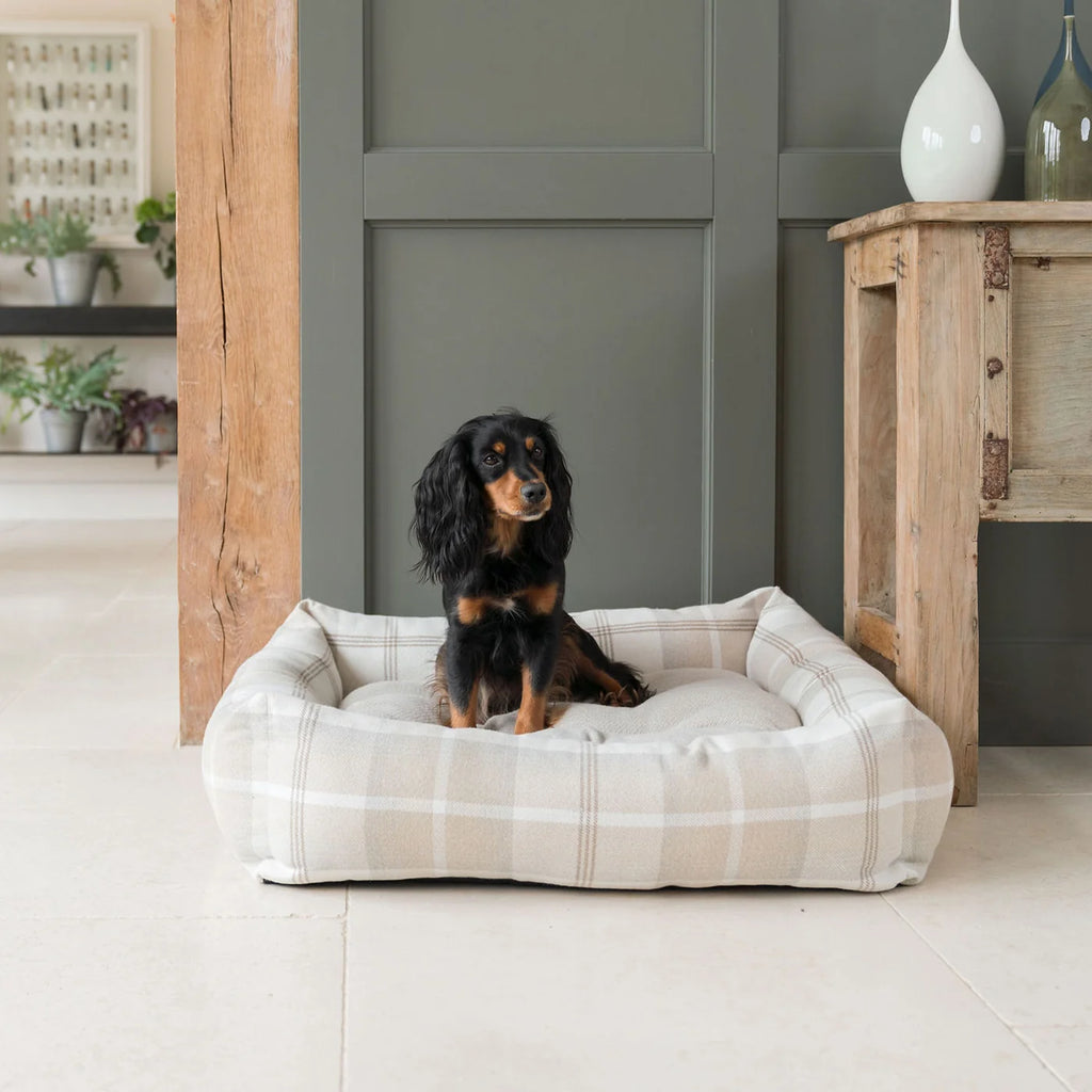 Box Bed For Dogs in Balmoral Tweed