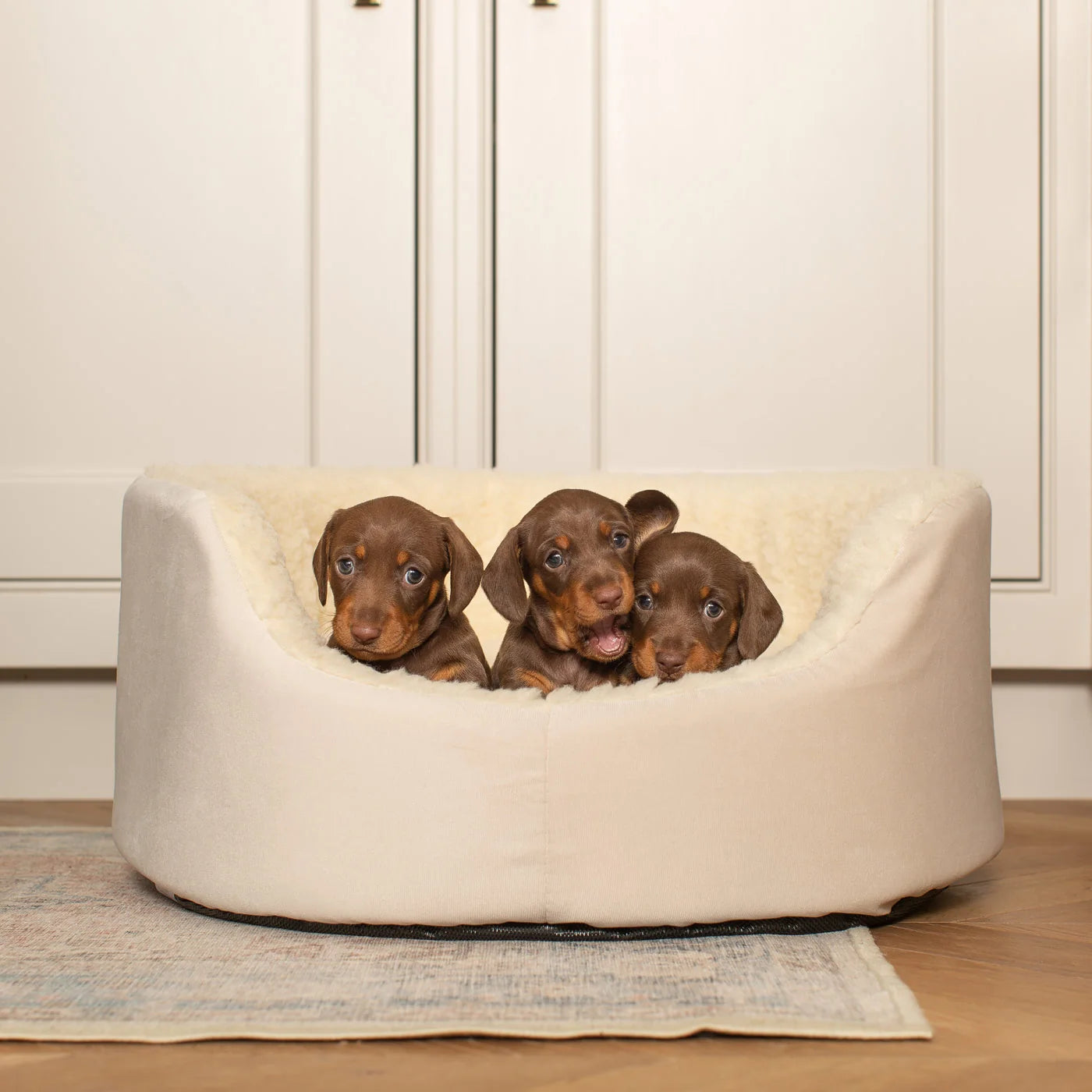 Grow With Me Puppy Bed in Cream