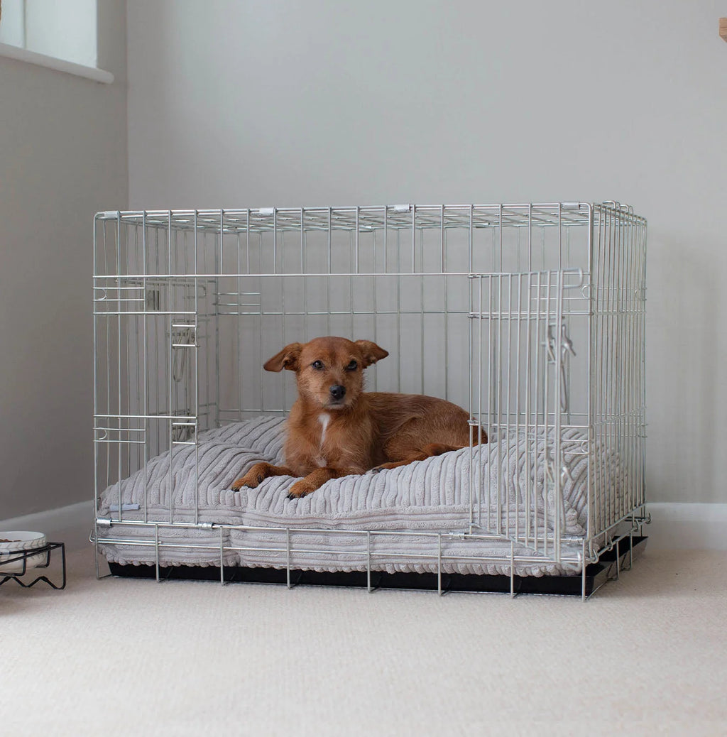 Dog Cushion in Light Grey Essentials