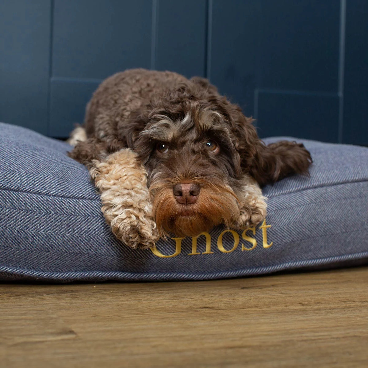 Dog Cushion in Oxford Herringbone Tweed