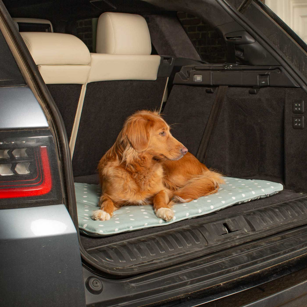 Travel Mat in Duck Egg Spot