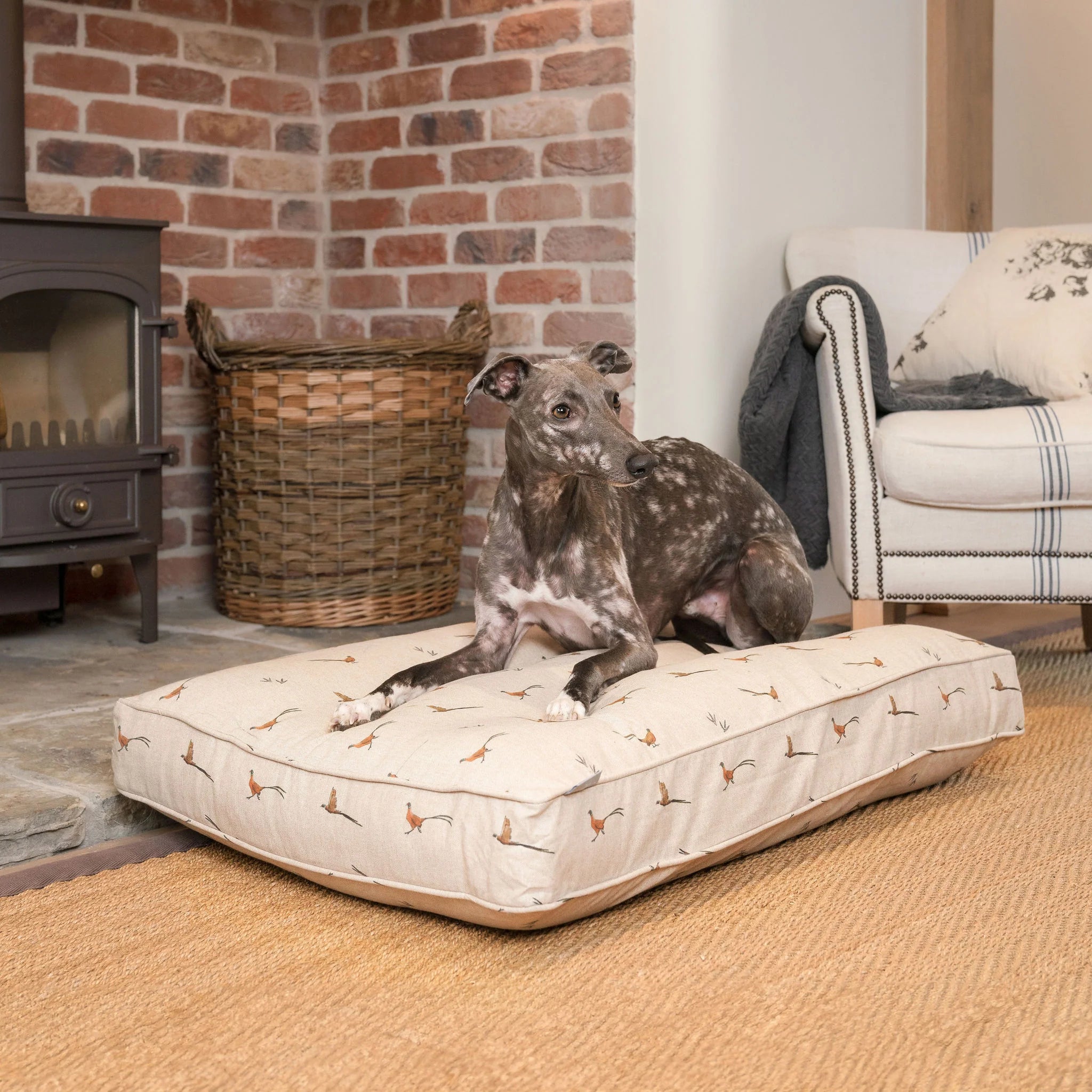 Dog Cushion in Woodland Pheasant