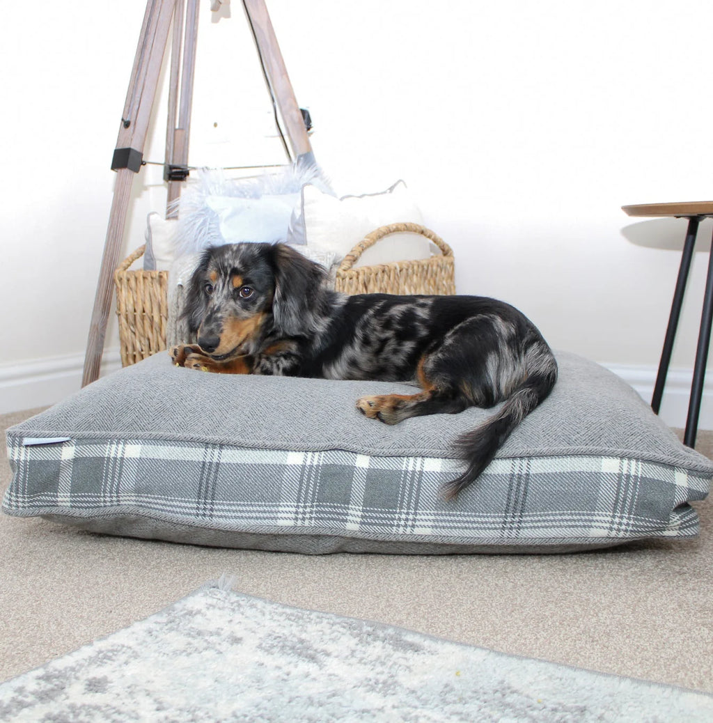 Dog Cushion in Balmoral Dove Grey Tweed