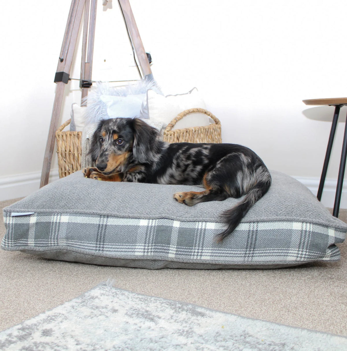 Dog Cushion in Balmoral Dove Grey Tweed
