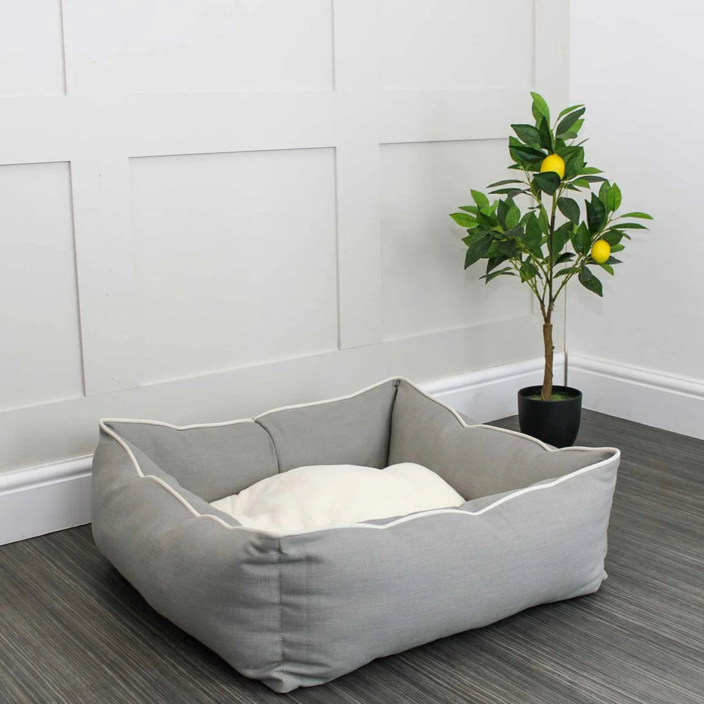 Box Bed For Dogs in Savanna